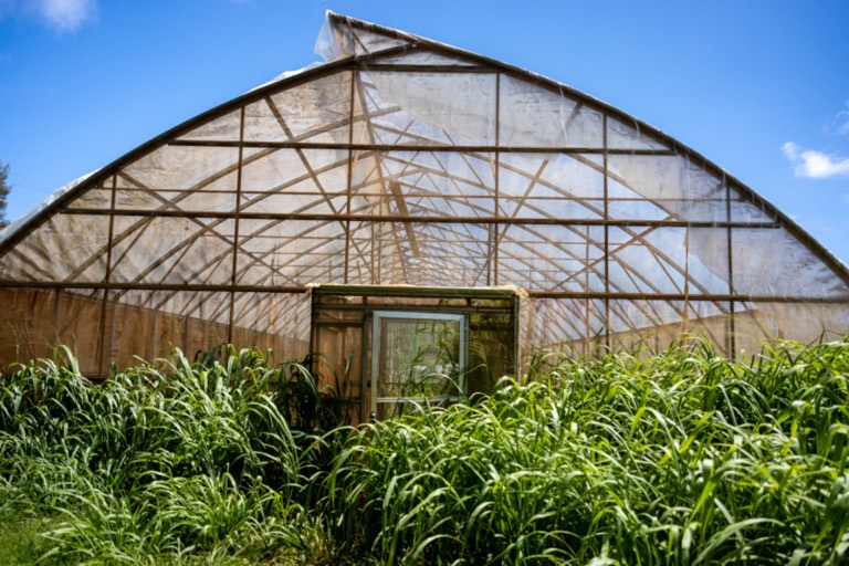 Agriculture & AgTech